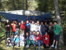BRIÑAS DBH 1D-E